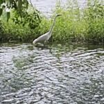 204045972_4189418484451557_476387663923641803_n